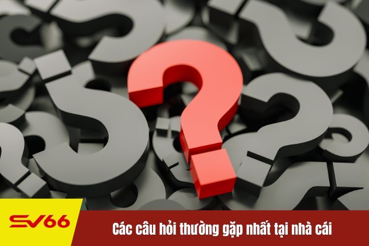 Các câu hỏi thường gặp nhất tại nhà cái