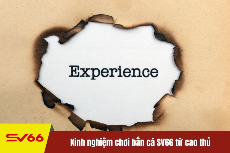 Kinh nghiệm chơi bắn cá SV66 từ cao thủ