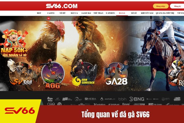 Tổng quan về đá gà SV66