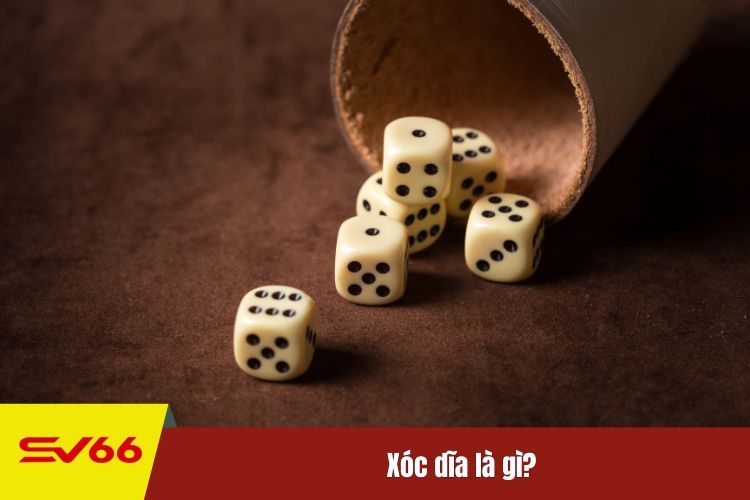 Xóc dĩa là gì?